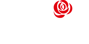 Beth Broom Ford
